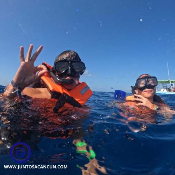 ENCOUNTER WITH WHALE SHARK - Image 5