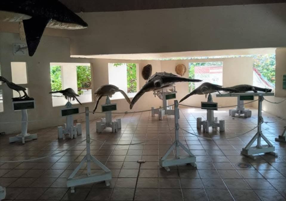 TOUR TO CONTOY ISLAND - Image 8