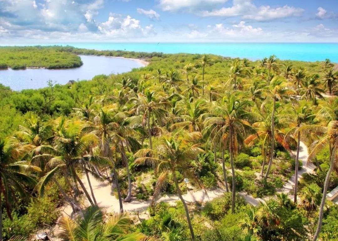 TOUR TO CONTOY ISLAND - Image 7