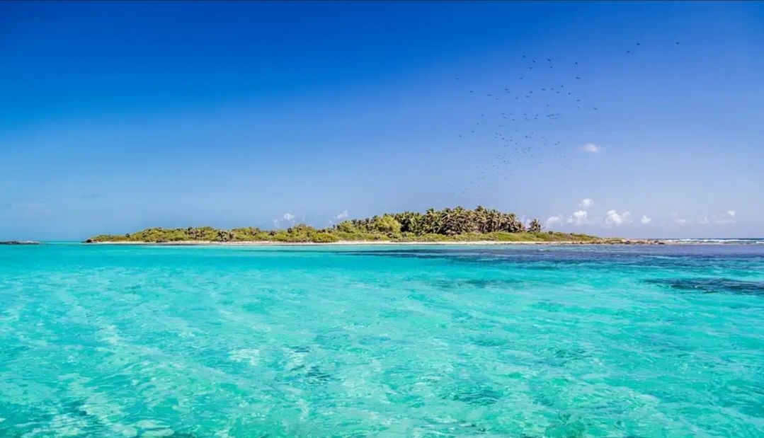 TOUR TO CONTOY ISLAND - Image 2