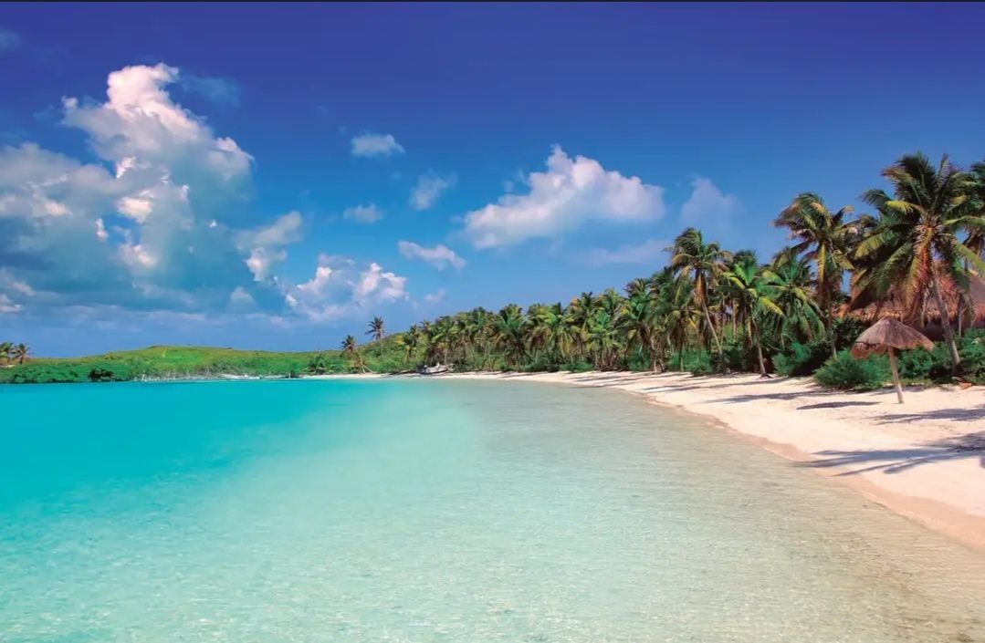 TOUR TO CONTOY ISLAND - Image 6