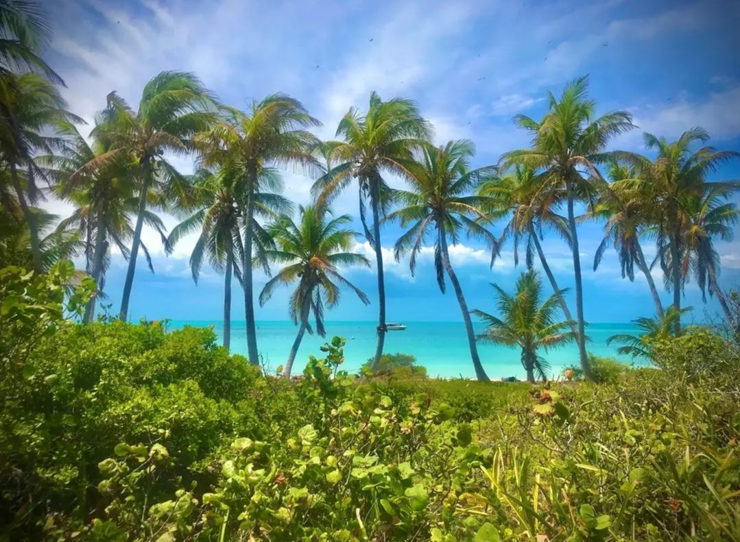 TOUR TO CONTOY ISLAND - Image 4